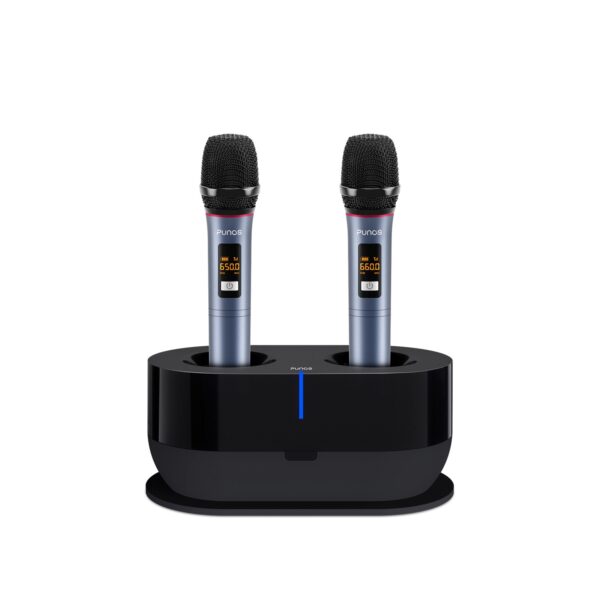 3D Home theater sound system, Wireless Mics - Image 5