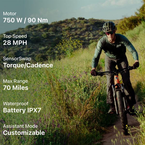 Velotric Summit 1 Ebike - Image 4