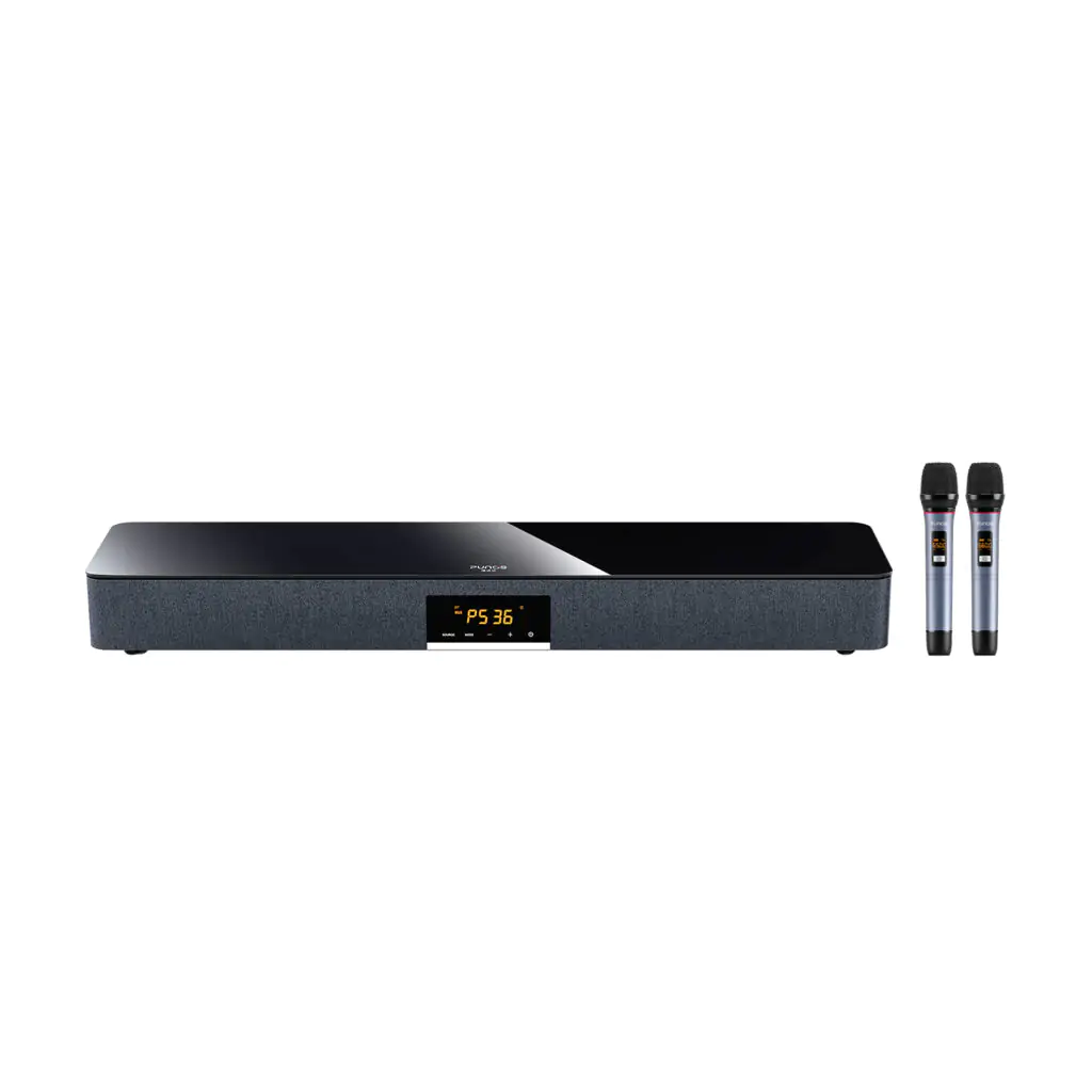 3D Home theater sound system, Wireless Mics
